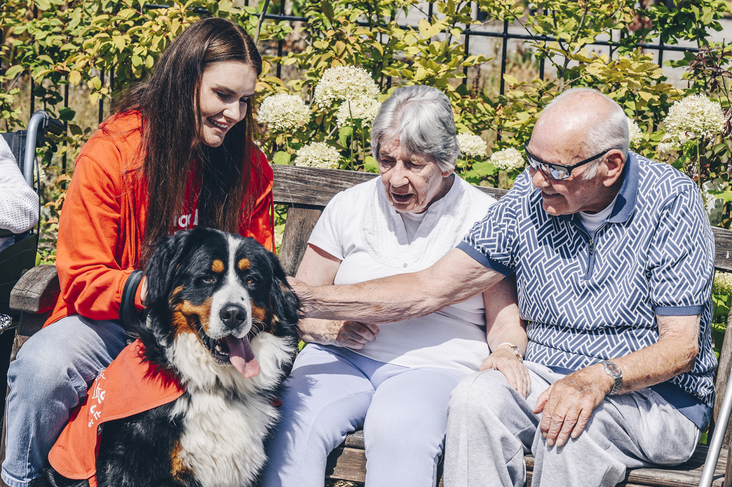 Care home residents stroking a dog