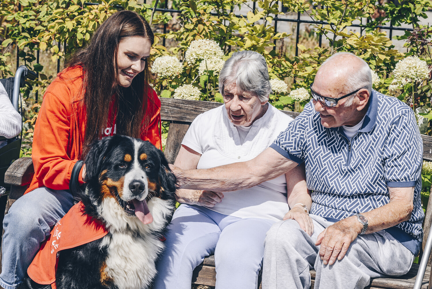 Care home residents stroking a dog