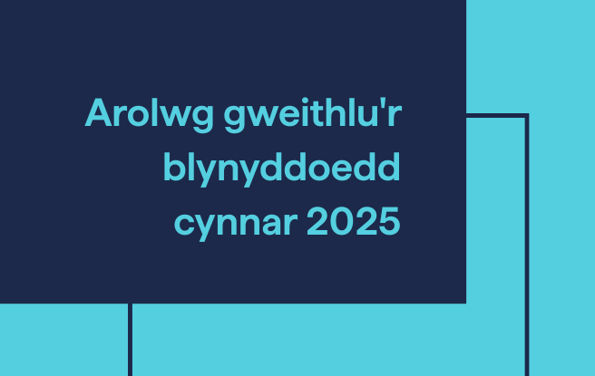 Arolwyg gweithlu'r blynyddoedd cynnar graphic - glas